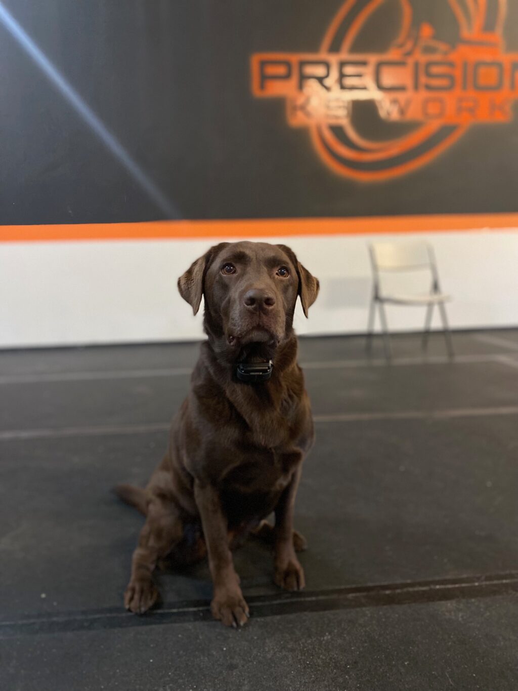 lab