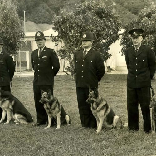 history of police k9